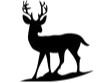 Deer&amp;Dear